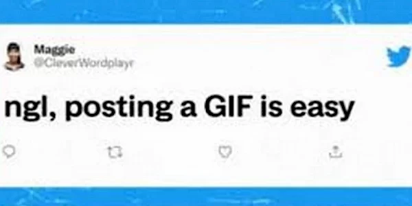 IOS: CREATING CUSTOMIZED GIFS WITH THE TWITTER APP